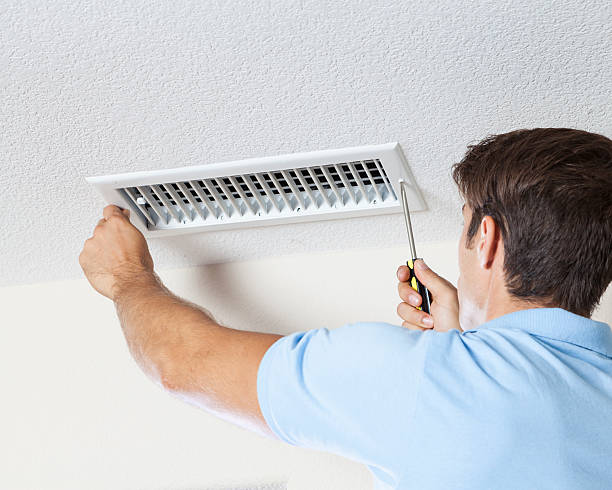 Best Mold Odor Removal Services  in Lake Hiawatha, NJ