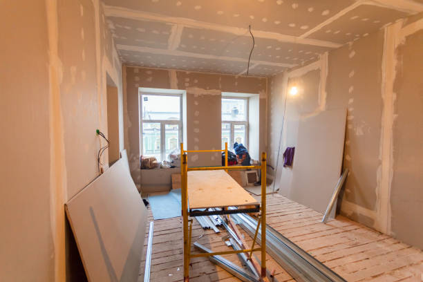 Reliable Lake Hiawatha, NJ Mold Removal Solutions